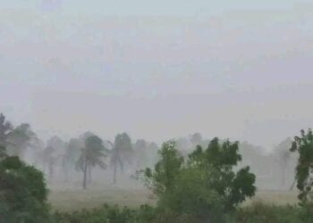 MOROMBE – Des élèves contraints de suivre leurs cours sous les arbres en plein air