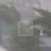 MÉTÉO – Des pluies abondantes annoncées dans le Nord et le Centre du pays ce jeudi