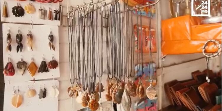 DECO – Les ammonites décoratives pour apporter une touche marine à son intérieur