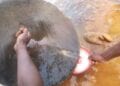 MINES ARTISANALES – 215 zones d’encadrement minier rapportées en 2023