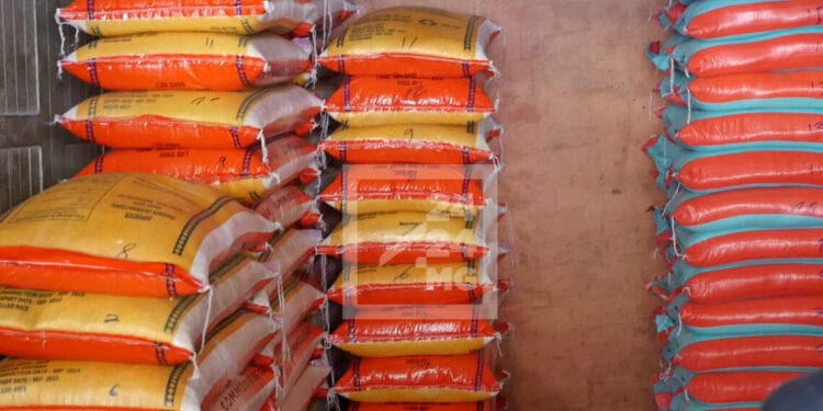L’importation de riz affiche son plus bas niveau des quatre dernières années