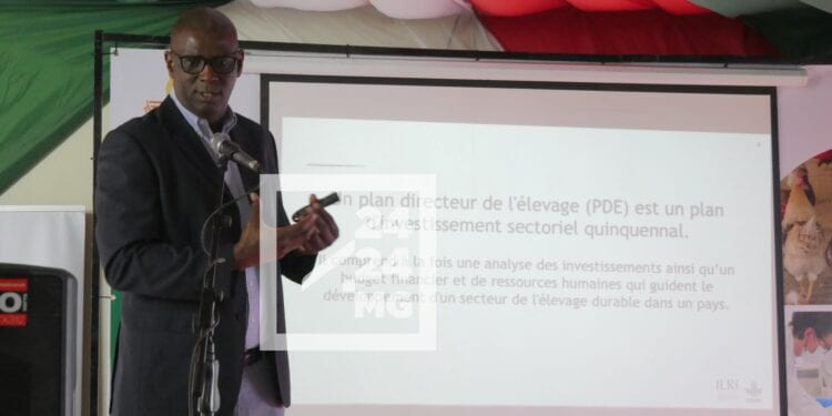 DÉVELOPPEMENT RURAL – Un plan directeur du secteur de l’élevage en cours d’élaboration