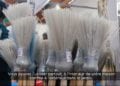 MAISON – Le « kifafa tout terrain » pour recycler ses bouteilles plastiques et remplacer ses balai traditionnels