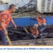 PANNE – La Jirama annonce des complications dans les travaux de rétablissement de l’électricité à Toamasina