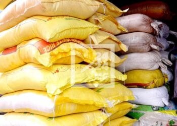 CONSOMMATION – Plus de 875 milliards d’ariary dépensés pour l’importation d’environ 424 500 tonnes de riz en 2023