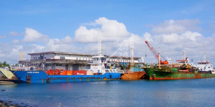COMMERCE – 361,1 millions de dollars d’exportations vers les Etats-Unis pour Madagascar durant le premier semestre de 2024