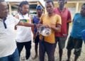 Une otarie pêchée à Taolagnaro, une première depuis plusieurs années
