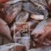 CONSOMMATION – 307 000 tonnes de besoin annuel en poissons