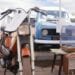RESTAURATION – Mikolo tranainy, le garage qui veut magnifier les voitures anciennes