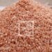 CÉRÉALES – La FAO avance un besoin d’importation de 430 000 tonnes de riz pour la campagne de commercialisation 2024-2025