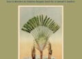 OUVRAGE – « De Madagascar aux mondes de l&rsquo;océan Indien », ou comment replacer la Grande Île au coeur de l&rsquo;indianocéanie