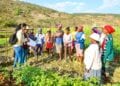 DÉVELOPPEMENT RURAL – L’approche Shep vulgarisée pour promouvoir l’agriculture orientée vers le marché