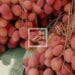COMMERCE – La région Atsinanana invite les acteurs de la filière litchi à se préparer bien en amont du début de la campagne