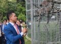 ENVIRONNEMENT – Une première vague des tortues et lémuriens de Madagascar saisis en Thaïlande attendue ce vendredi