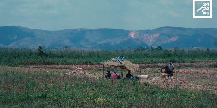 AGRICULTURE – Le manque d’eau menace les récoltes dans l’Alaotra