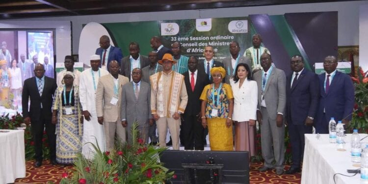 AGRICULTURE – Madagascar sollicite AfricaRice pour atteindre ses objectifs de production de riz
