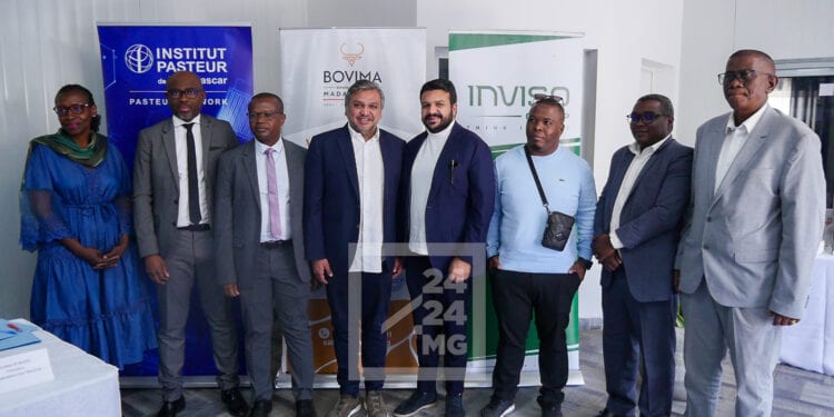 AGRIBUSINESS – Une convention de partenariat avec Mayotte pour structurer et améliorer la filière viande à Madagascar