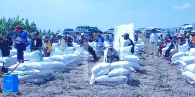 AGRICULTURE – Le projet RizPlus dote d’intrants et de kits agricoles les riziculteurs d’Alaotra afin de doubler leur rendement