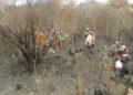 ENVIRONNEMENT – Environ 20 ha du parc national Ranomafana ravagés par les flammes
