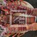 PÊCHE – Clôture de la saison des langoustes jusqu’au 31 mars dans cinq régions du Sud de Madagascar