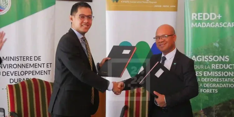BIODIVERSITÉ – Madagascar conclut la vente de 300.000 crédits carbone issus de la conservation du parc national de Makira