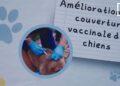 SANTE – Que faire en cas de morsure, de griffures ou de contact avec la salive d’un mammifère?