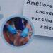 SANTE – Que faire en cas de morsure, de griffures ou de contact avec la salive d’un mammifère?