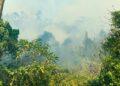 CATASTROPHE – Le gouvernement n’écarte pas la location d’un Canadair pour faire face aux feux qui ravagent les forêts malgaches