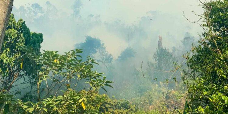 CATASTROPHE – Le gouvernement n’écarte pas la location d’un Canadair pour faire face aux feux qui ravagent les forêts malgaches