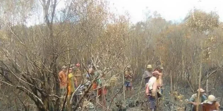 FEU DE FORÊT – Près de 25 ha du parc national Ranomafana ravagés par les flammes, selon la gendarmerie