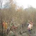 FEU DE FORÊT – Près de 25 ha du parc national Ranomafana ravagés par les flammes, selon la gendarmerie