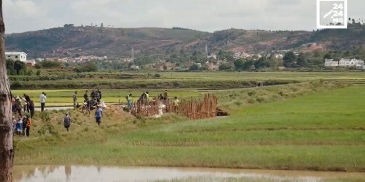 AGRICULTURE – Les paysans de Malaza entre espoir et désespoir