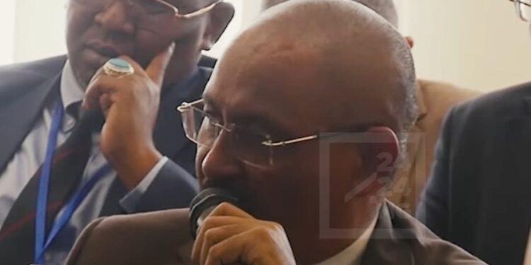 HYDROÉLECTRICITÉ – Des reconnaissances du site déjà effectuées par des constructeurs intéressés par le projet Sahofika, selon le ministre Olivier Jean-Baptiste