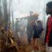 RAPPORT – Madagascar parmi les 10 pays confrontés à des niveaux très élevés de menace écologique
