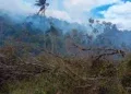 ENVIRONNEMENT – Le ministère de l’environnement rapporte l’arrestation de 11 personnes soupçonnées d’être à l’origine des feux de brousse et de forêt