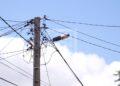 ENERGIE – La durée des coupures tournantes d&rsquo;électricité pour délestage passe à quatre heures par jour par localité ce lundi