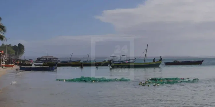 ENVIRONNEMENT – Les résultats des enquêtes sur des poissons morts sur la plage de Ramena attendus selon Paubert Mahatante