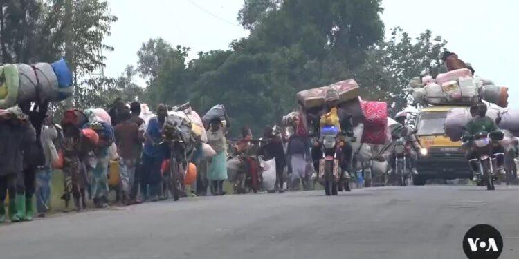 AFRIQUE – Les rebelles du M23 déclarent un cessez-le-feu unilatéral dans l’Est de la RD Congo