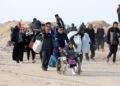PROCHE-ORIENT – Multiplication des désapprobations internationales sur la déclaration de Trump sur le déplacement des habitants de Gaza