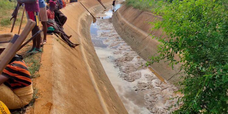 PROJETS SOCIAUX – Base Toliara en appui aux activités agricoles dans les communes d’Ankilimalinike et de Tsianisiha