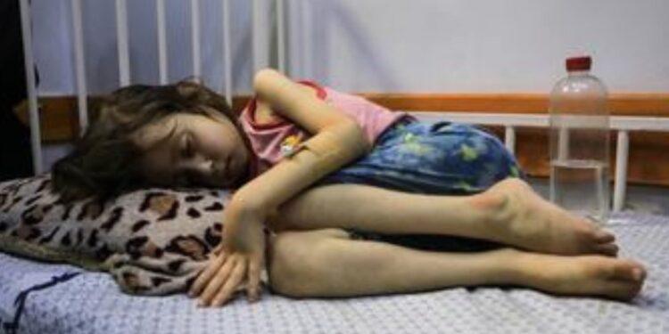MOYEN-ORIENT – L’ONU confirme une situation de famine à Gaza et appelle à un cessez-le-feu immédiat