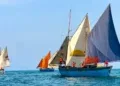EVENEMENT – Belo sur Mer célèbre sa biodiversité et sa culture vezo avec le Festival Botry Soa Fahitse