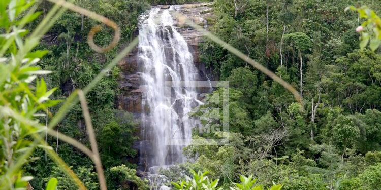 FINANCEMENT VERT – Le Fonds pour l’environnement mondial mise sur Madagascar et l’Afrique