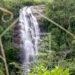 FINANCEMENT VERT – Le Fonds pour l’environnement mondial mise sur Madagascar et l’Afrique