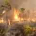 INCENDIE – L’arsenal de prévention et de lutte contre les feux de forêt et les feux de brousse du pays renforcé