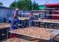 FINANCES – BNI MADAGASCAR lance la deuxième édition du programme « BNI Lovainjafy » à travers deux concours pour donner de l’élan aux projets impactant
