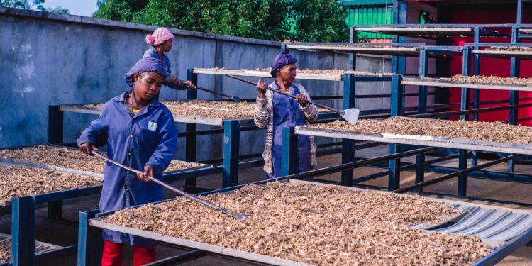 FINANCES – BNI MADAGASCAR lance la deuxième édition du programme « BNI Lovainjafy » à travers deux concours pour donner de l’élan aux projets impactant