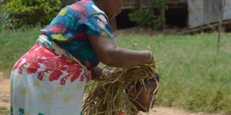 DIEU DONNE RAZARAMARO, PRESIDENT FONDATEUR DE L’ONG MI’ART ECO – “Ce n&rsquo;est pas parce que vous êtes le fils d&rsquo;un paysan que vous ne pouvez pas aller loin”