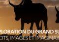 LITTÉRATURE – La conférence « Exploration du Grand Sud » explore les expressions littéraires et artistiques du Sud malagache