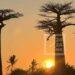 MORONDAVA – Le Nord de l’Allée des Baobabs frappée par un incendie désormais maîtrisé